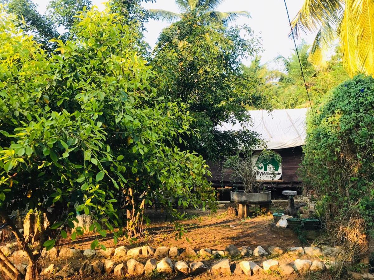 Aliya Riverside & Safari Resort Uda Walawe Extérieur photo