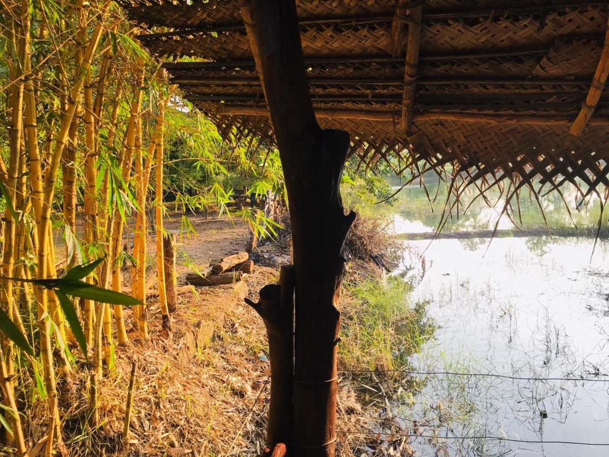 Aliya Riverside & Safari Resort Uda Walawe Extérieur photo