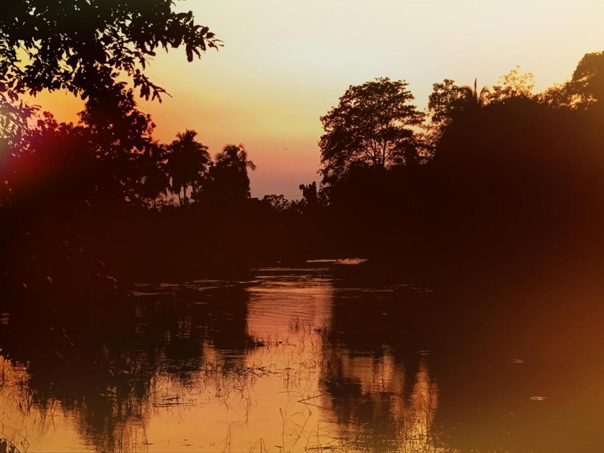Aliya Riverside & Safari Resort Uda Walawe Extérieur photo