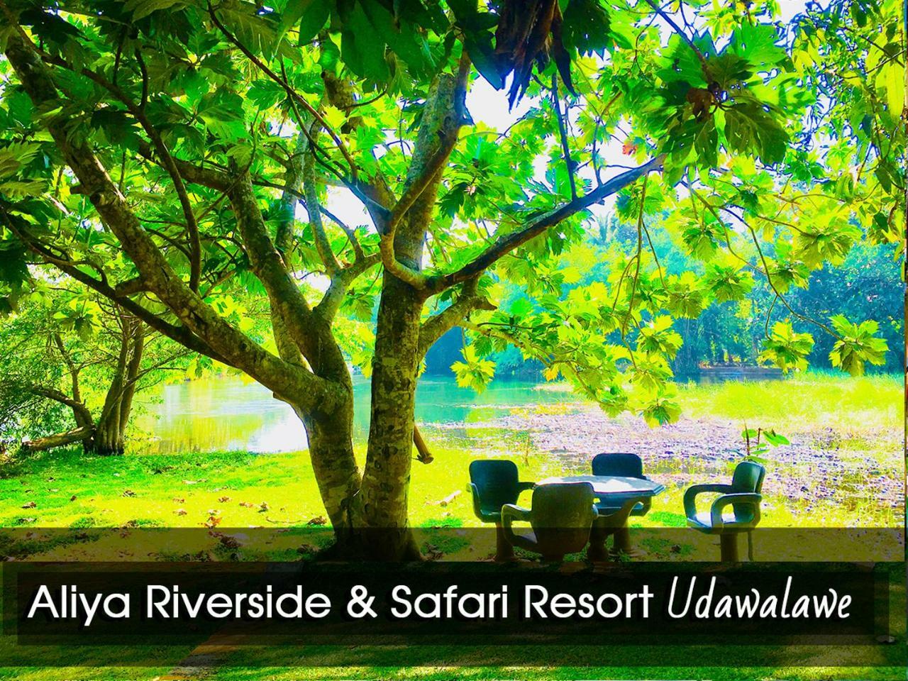 Aliya Riverside & Safari Resort Uda Walawe Extérieur photo