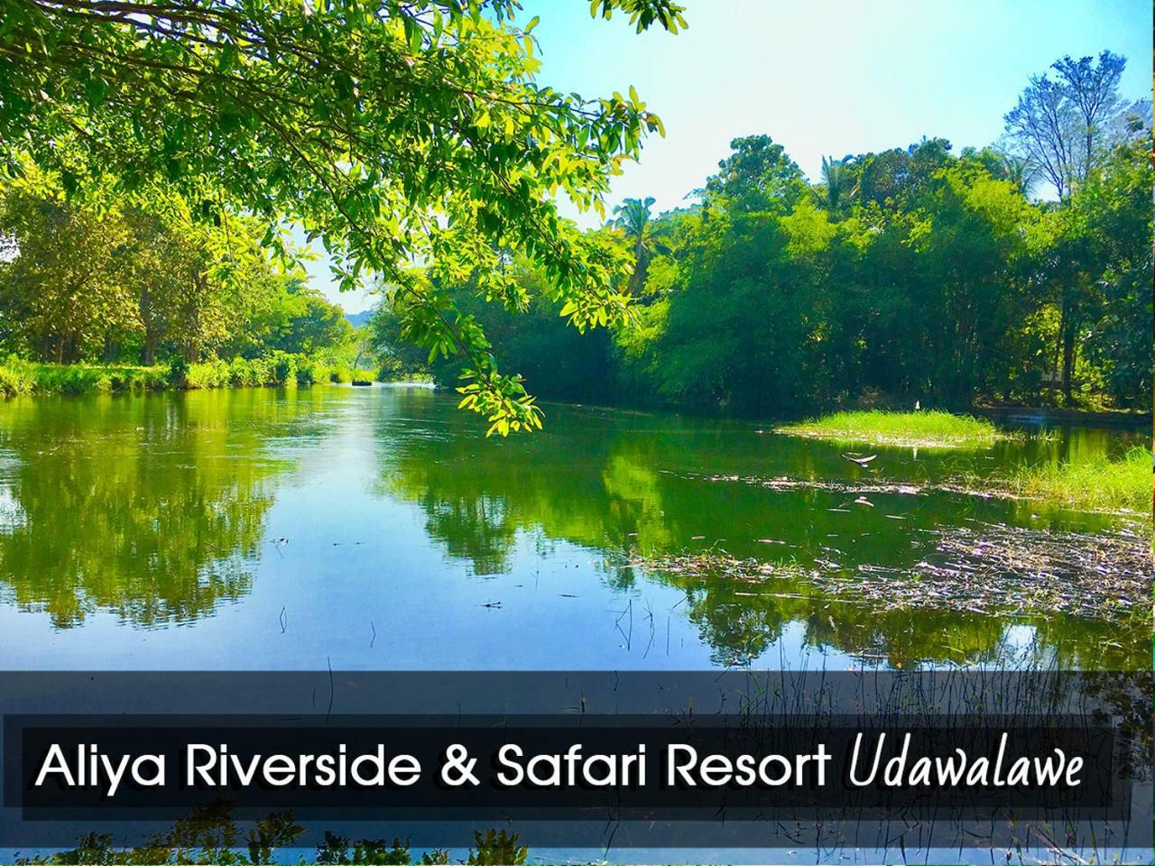 Aliya Riverside & Safari Resort Uda Walawe Extérieur photo