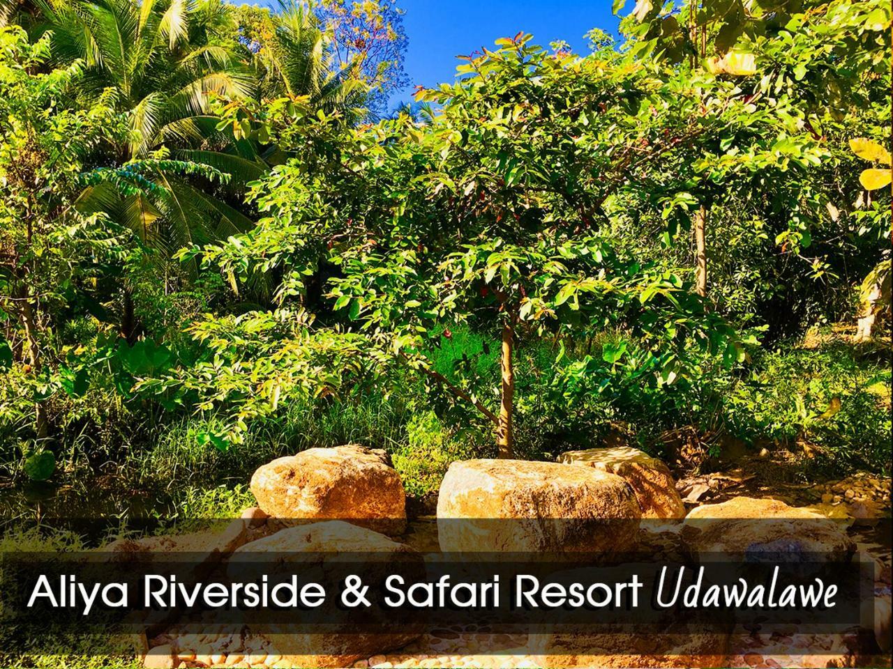 Aliya Riverside & Safari Resort Uda Walawe Extérieur photo