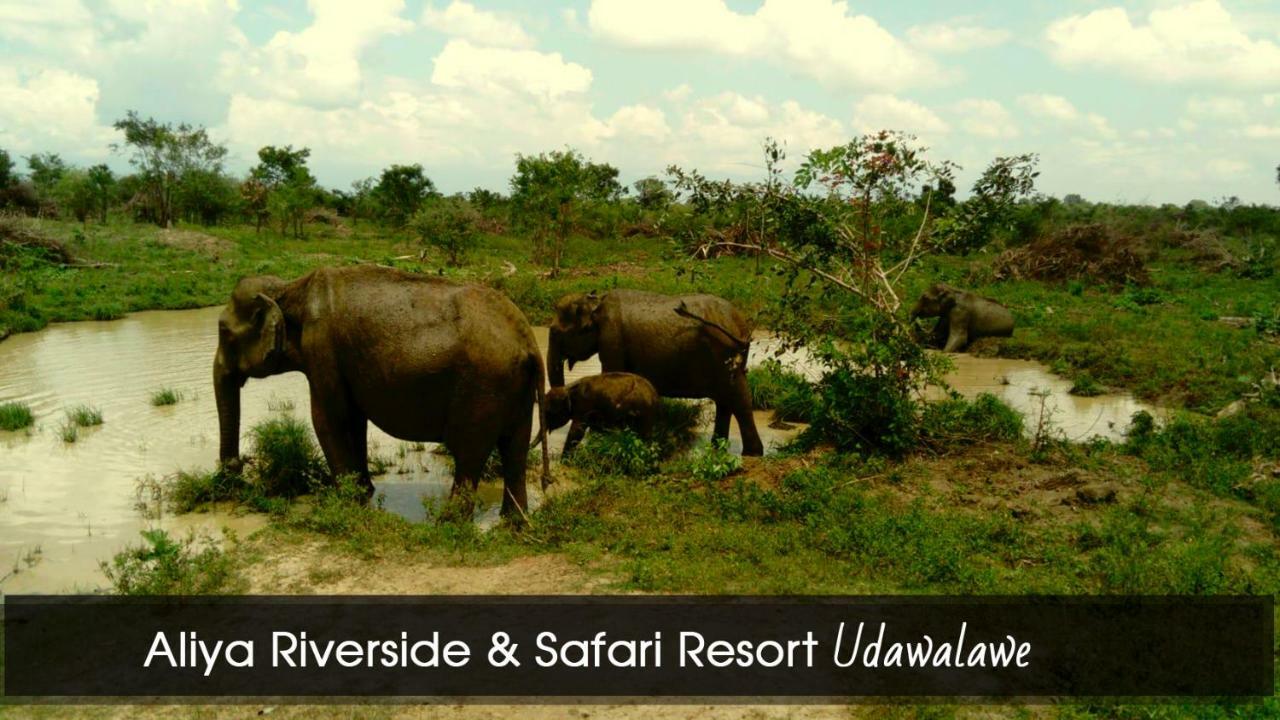 Aliya Riverside & Safari Resort Uda Walawe Extérieur photo