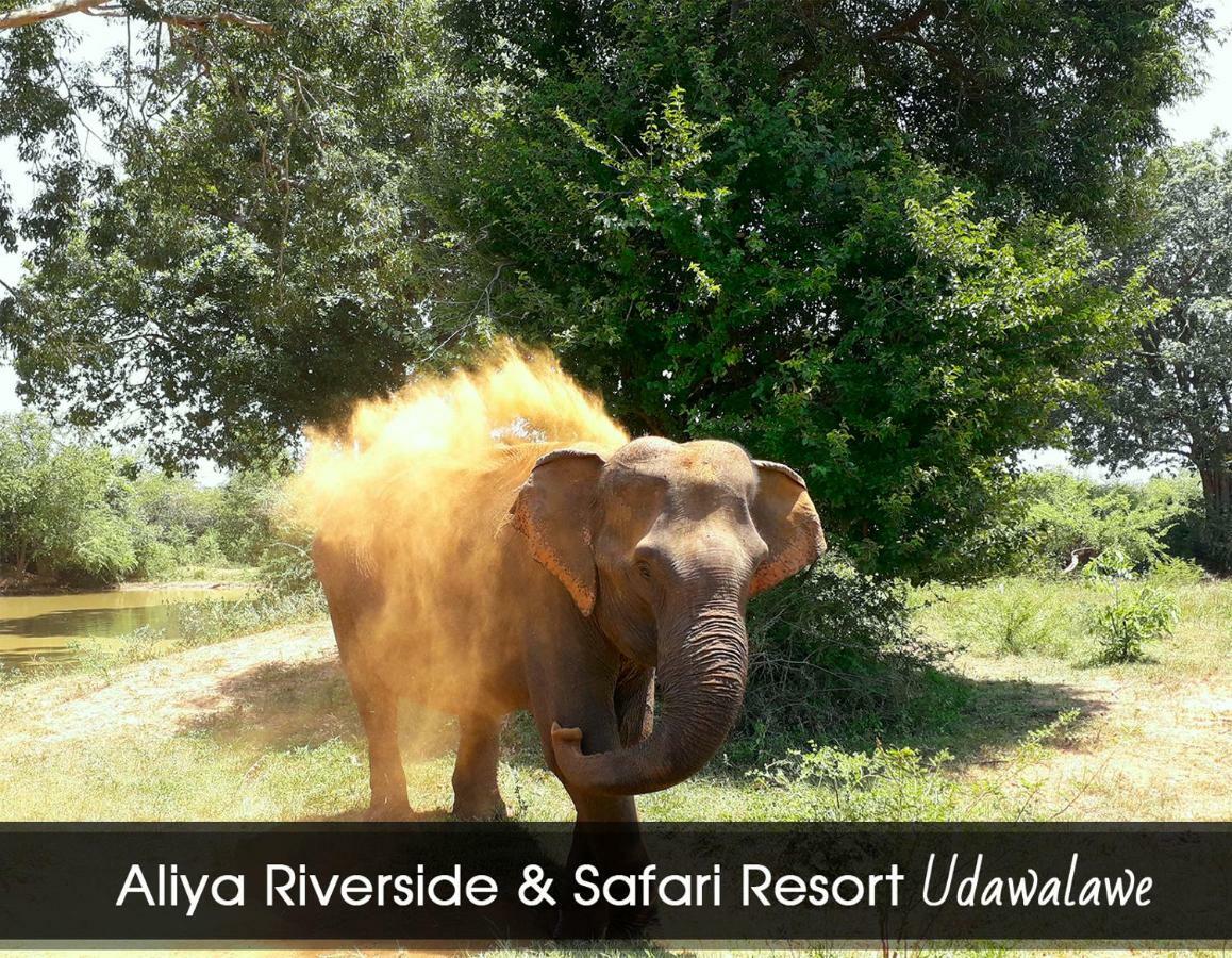 Aliya Riverside & Safari Resort Uda Walawe Extérieur photo