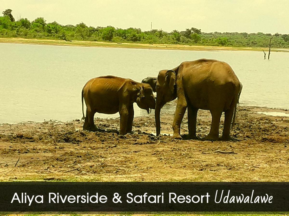 Aliya Riverside & Safari Resort Uda Walawe Extérieur photo