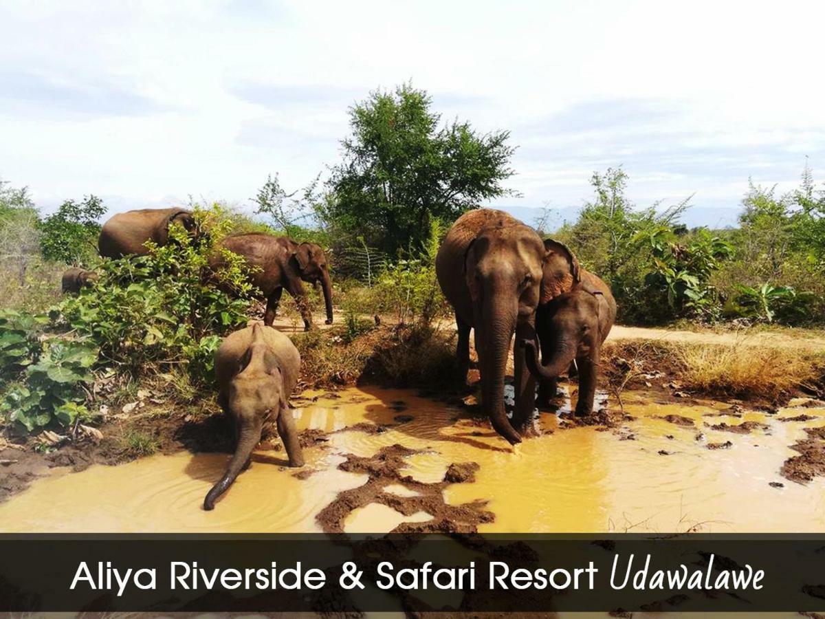 Aliya Riverside & Safari Resort Uda Walawe Extérieur photo